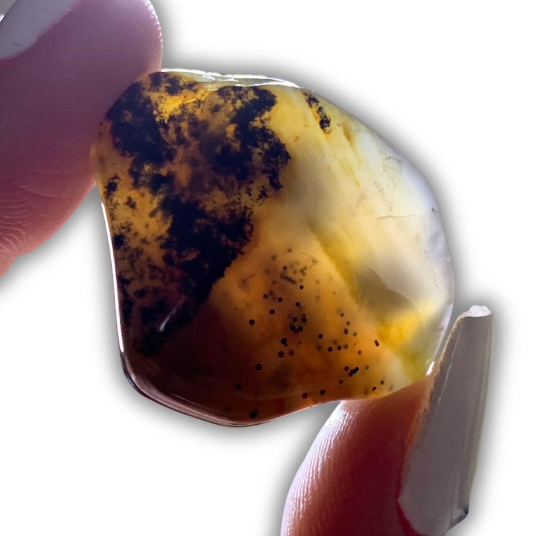 GOLD BLUE CHALCEDONY