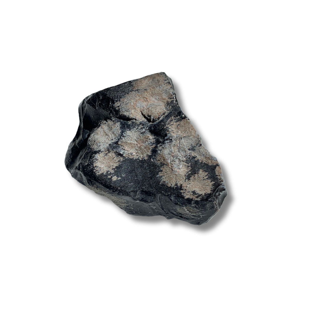 SNOWFLAKE OBSIDIAN