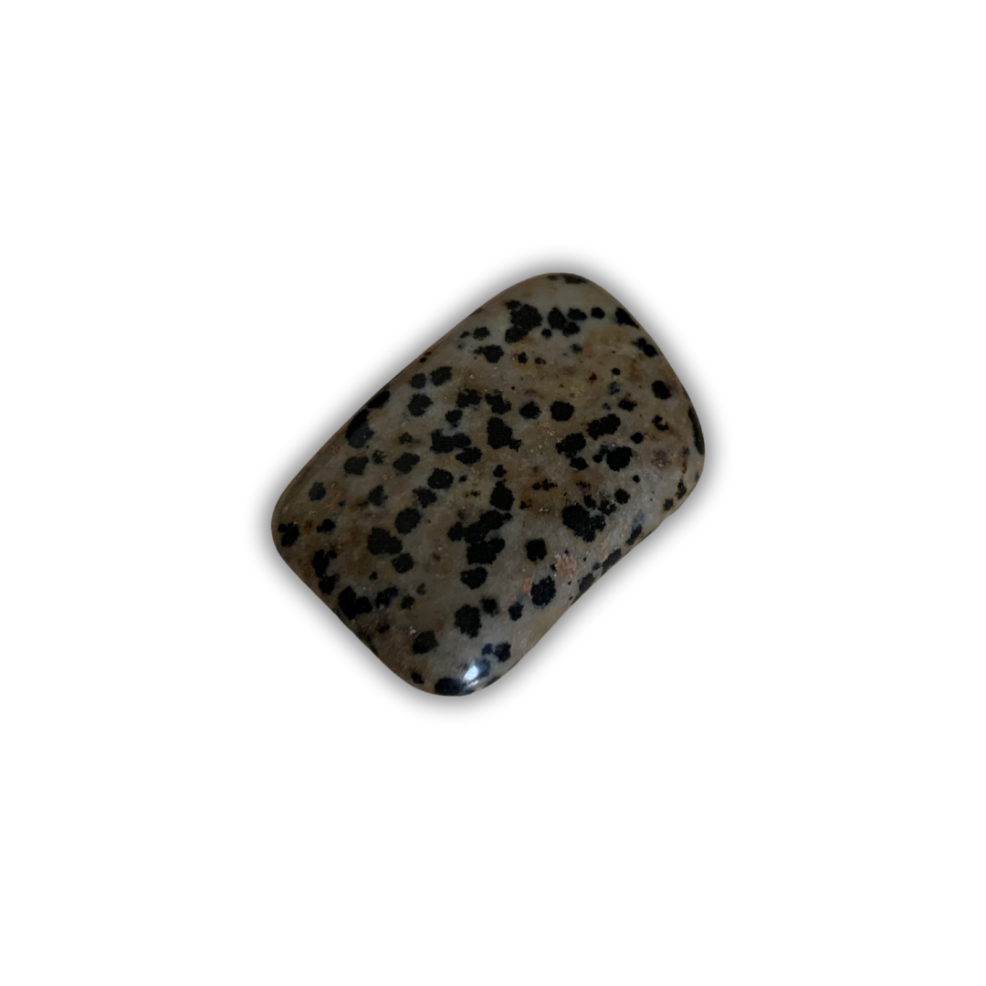 DALMATION JASPER