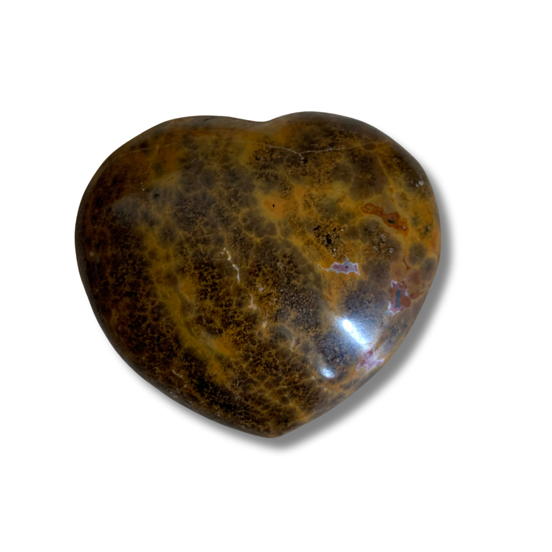 OCEAN JASPER