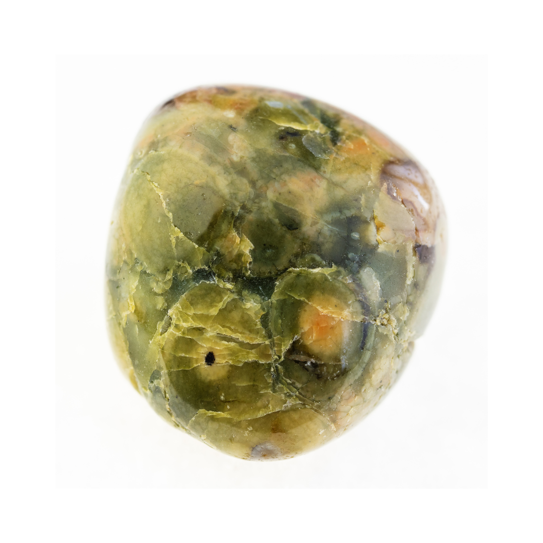 RAINFOREST JASPER