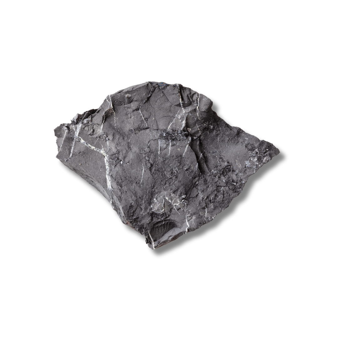 SHUNGITE