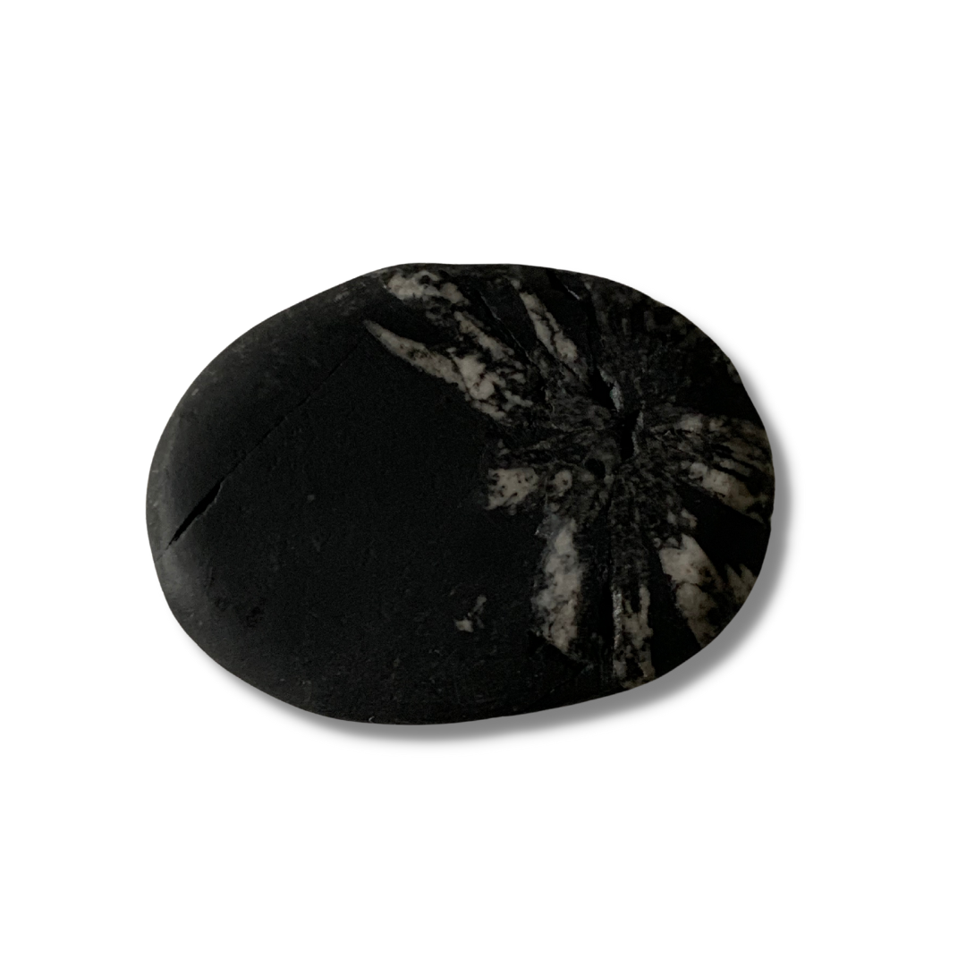 CHRYSANTHEMUM STONE