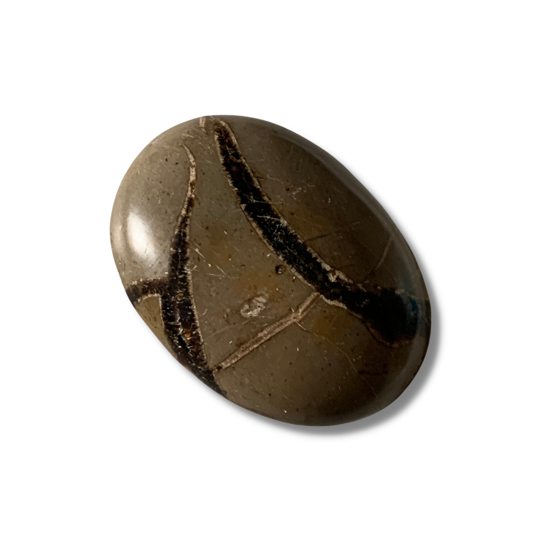 SEPTARIAN ( DRAGON STONE)