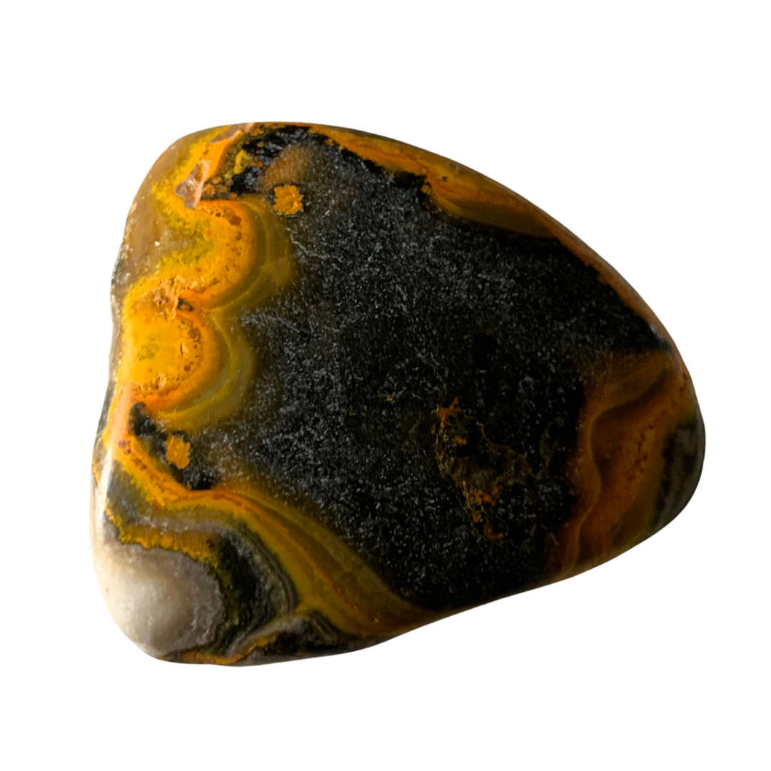 BUMBLE BEE JASPER