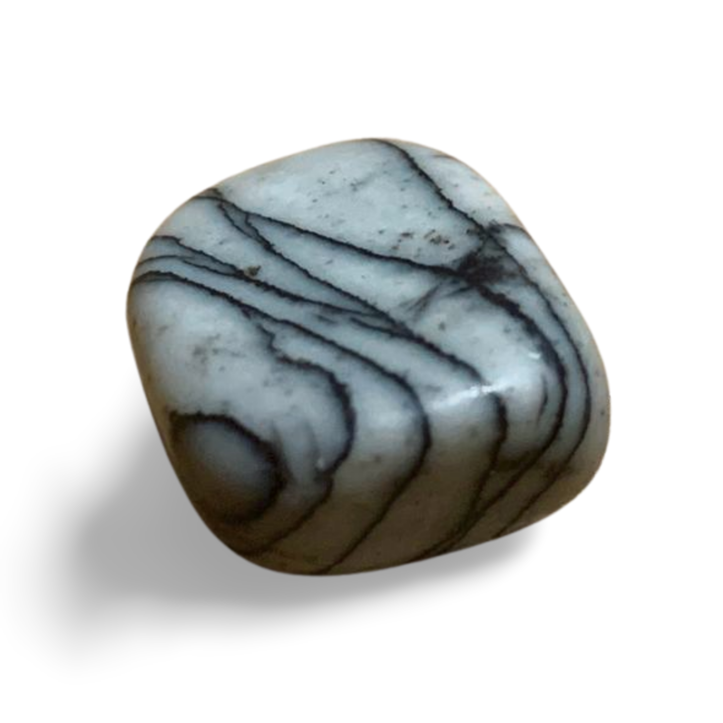 BLACK WEB JASPER