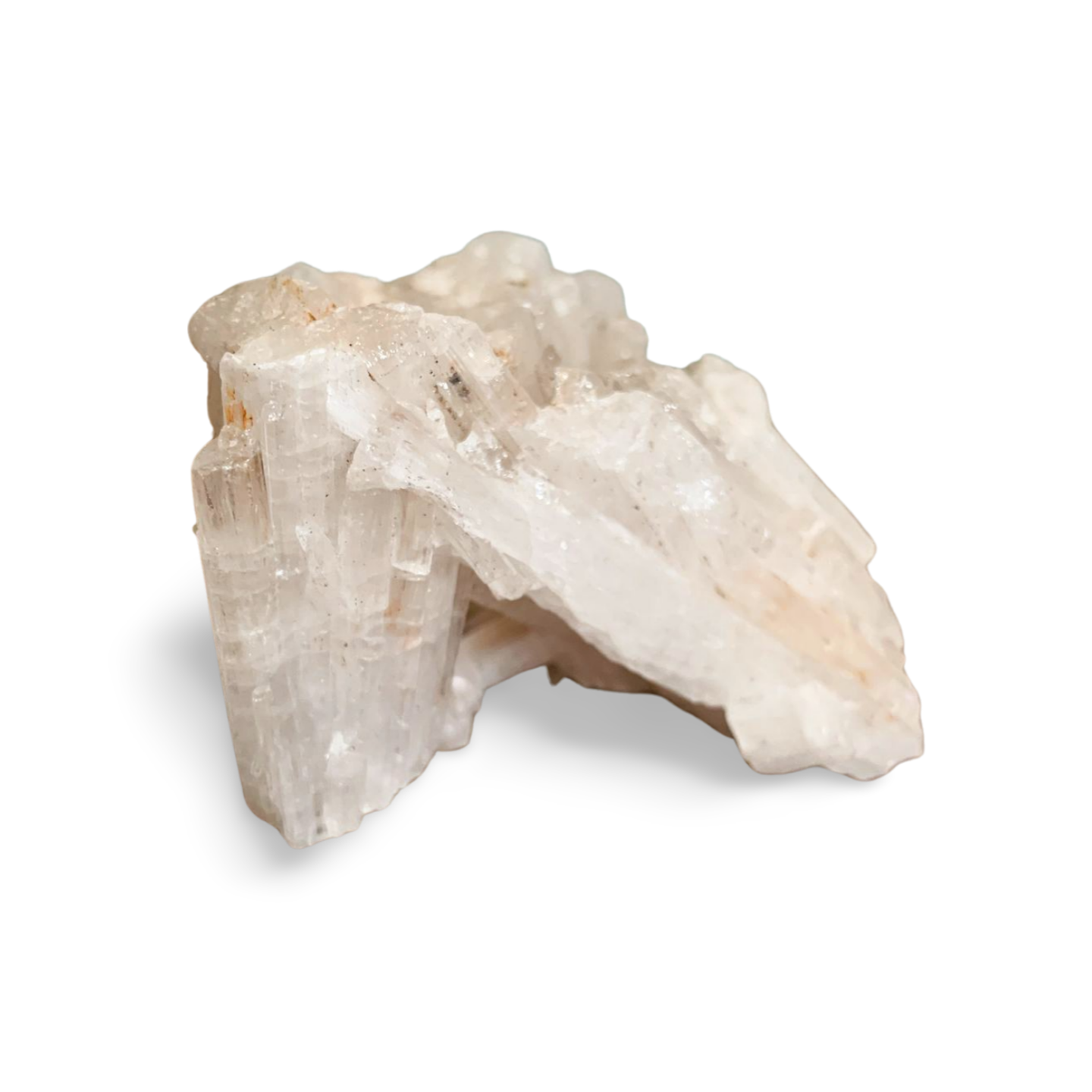 SCOLECITE