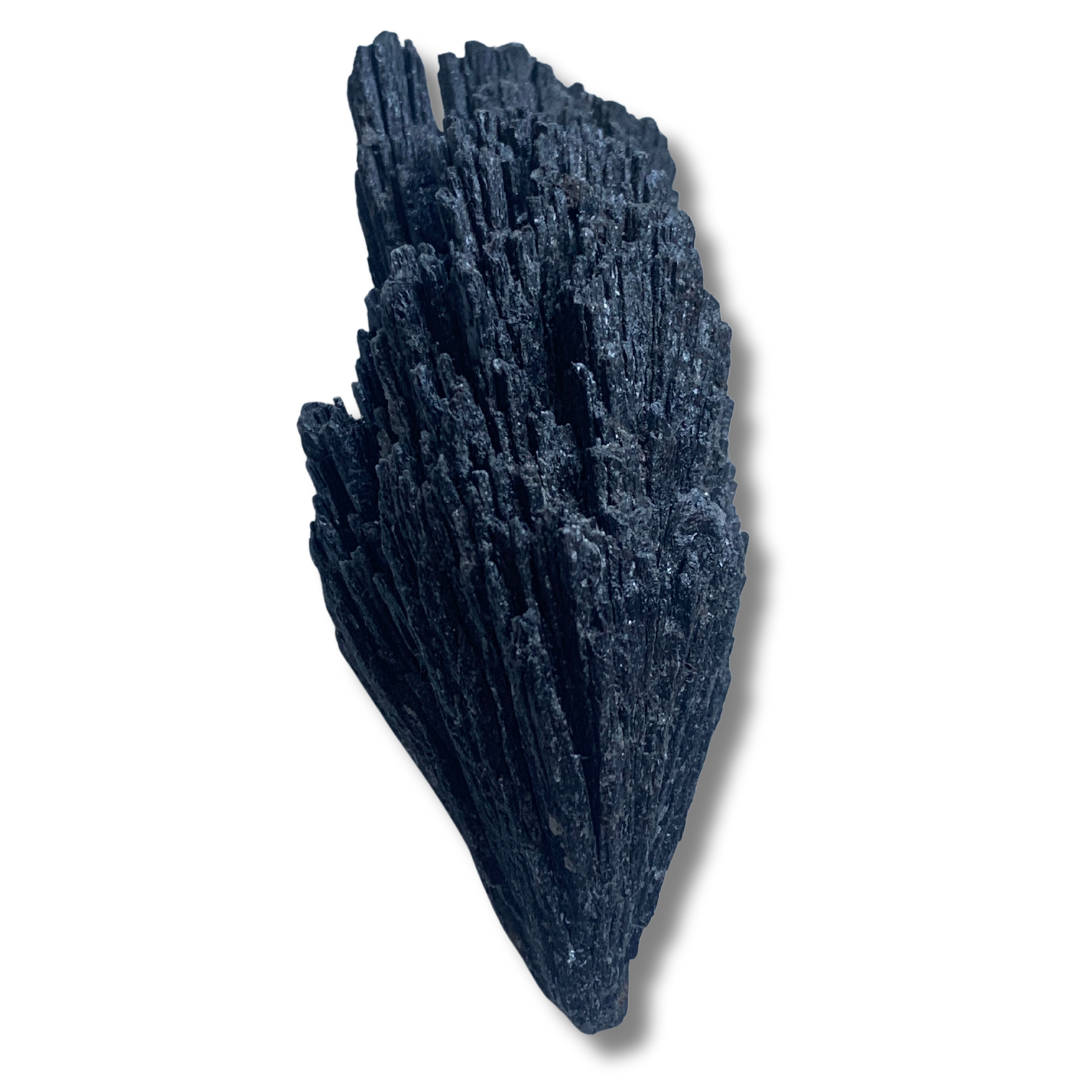 ANATOLIAN GENUINE BLACK KYANITE SPRAY (large)