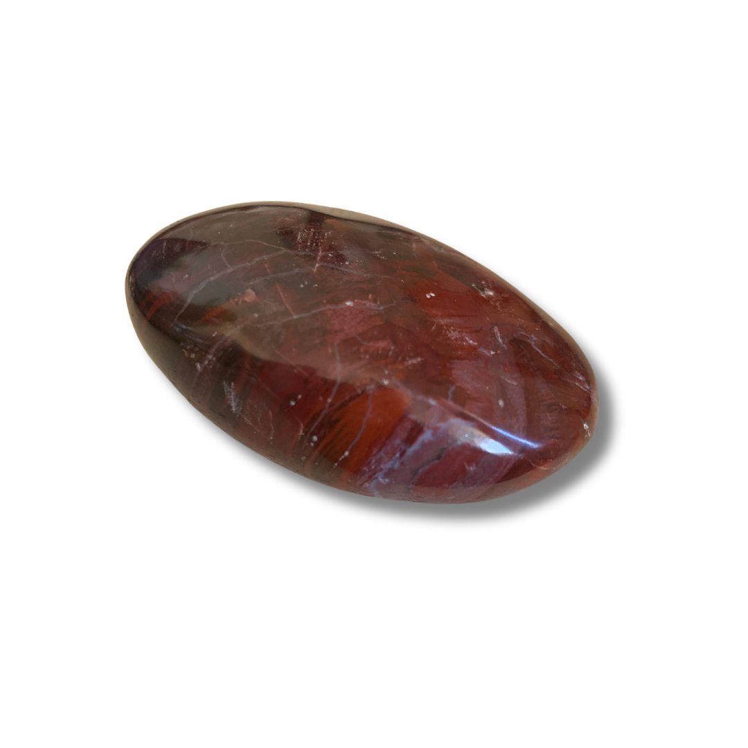 PETRIFIED WOOD MEDITATION STONE