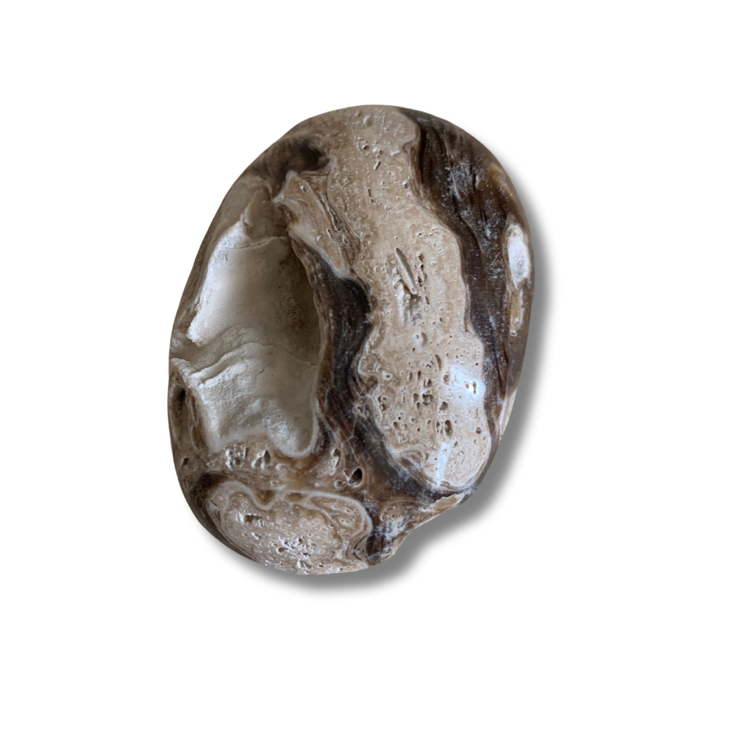 CHOCOLATE CALCITE PALM STONE