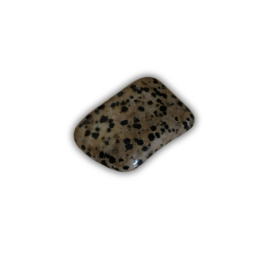 DALMATION JASPER TUMBLE