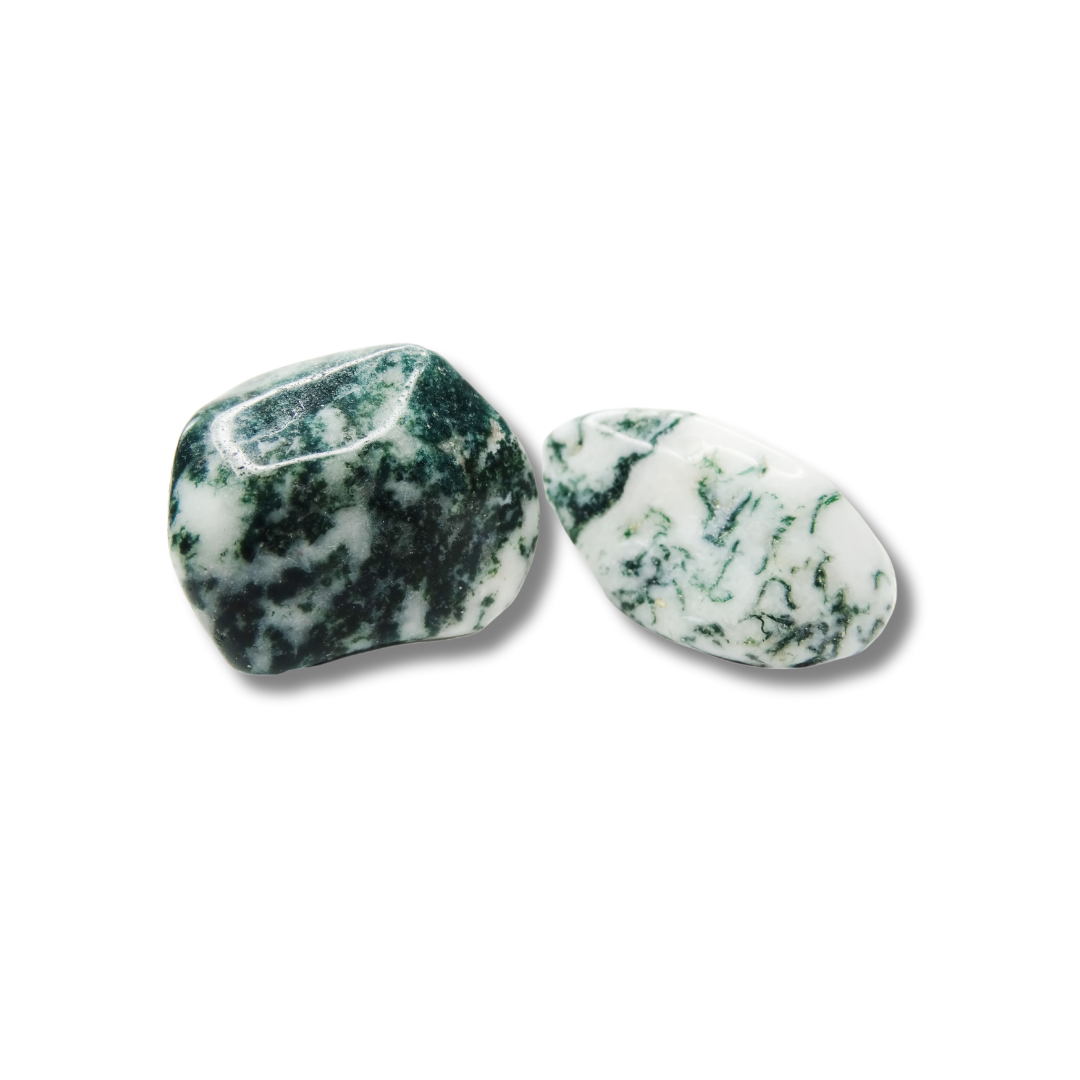 MOSS AGATE TUMBLE