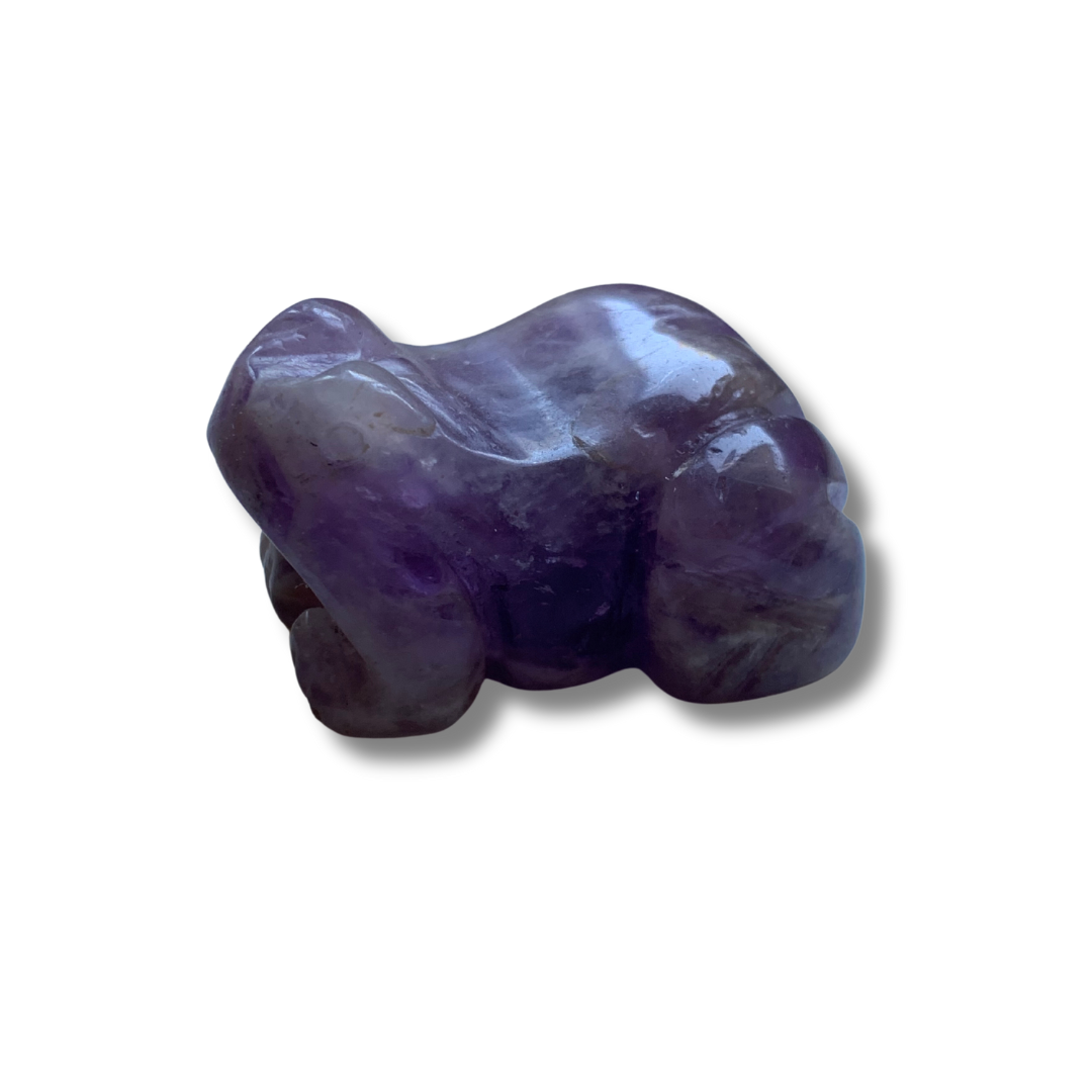 CHEVRON AMETHYST FROG