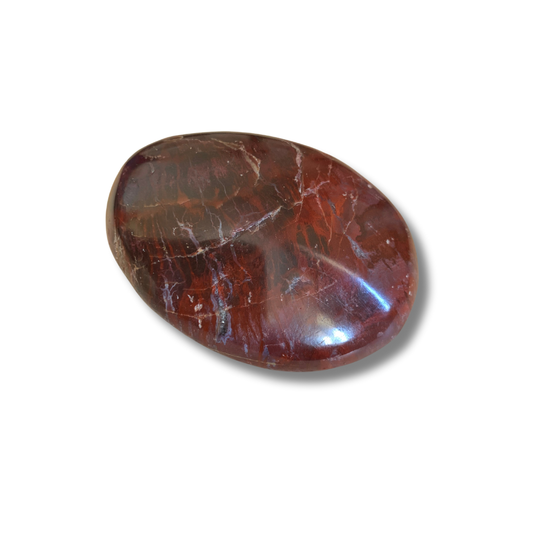 PETRIFIED WOOD MEDITATION STONE