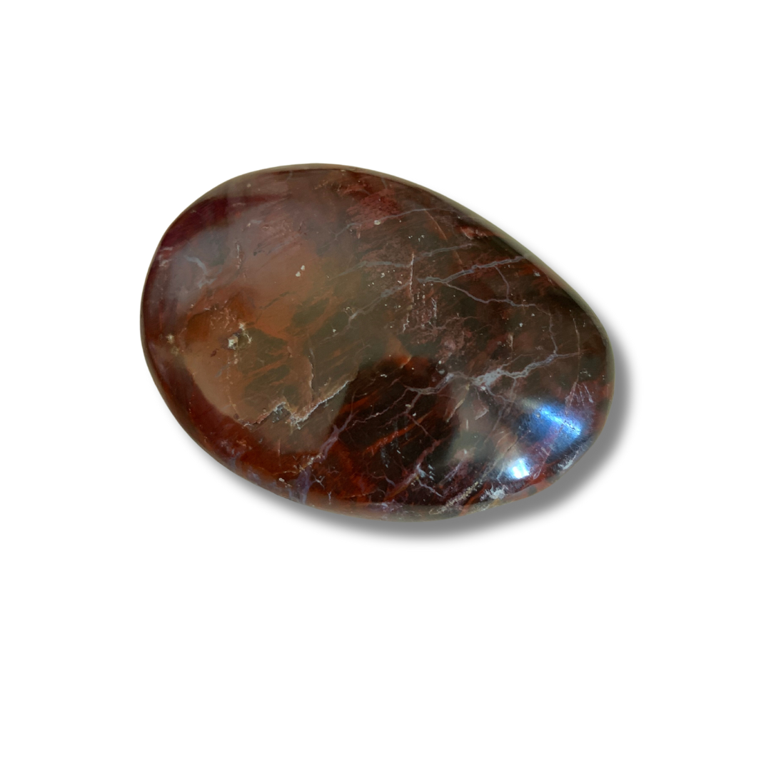 PETRIFIED WOOD MEDITATION STONE