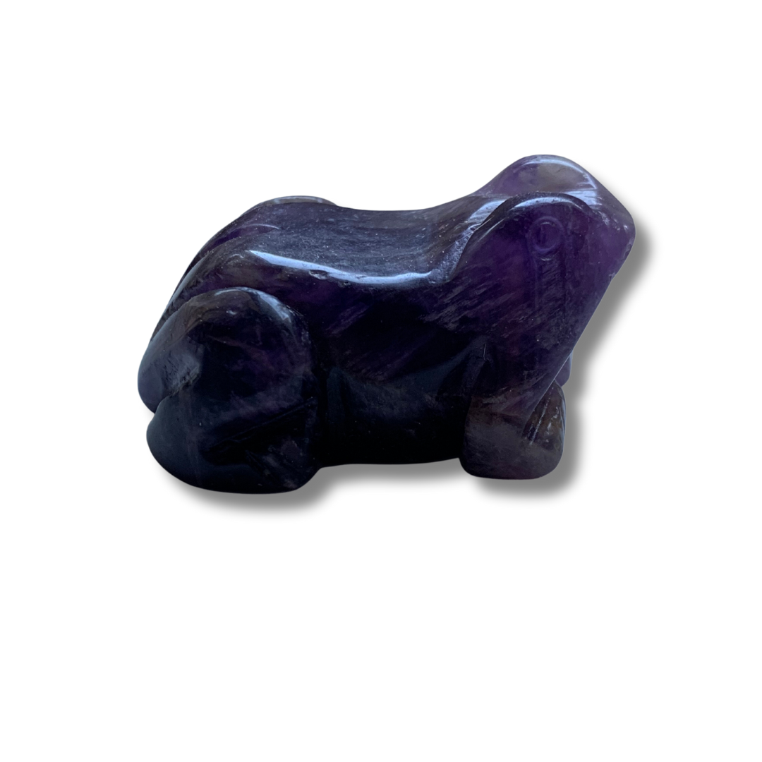 CHEVRON AMETHYST FROG