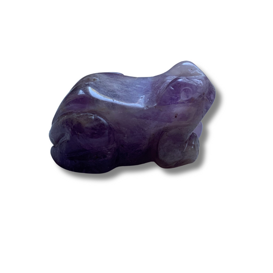 CHEVRON AMETHYST FROG