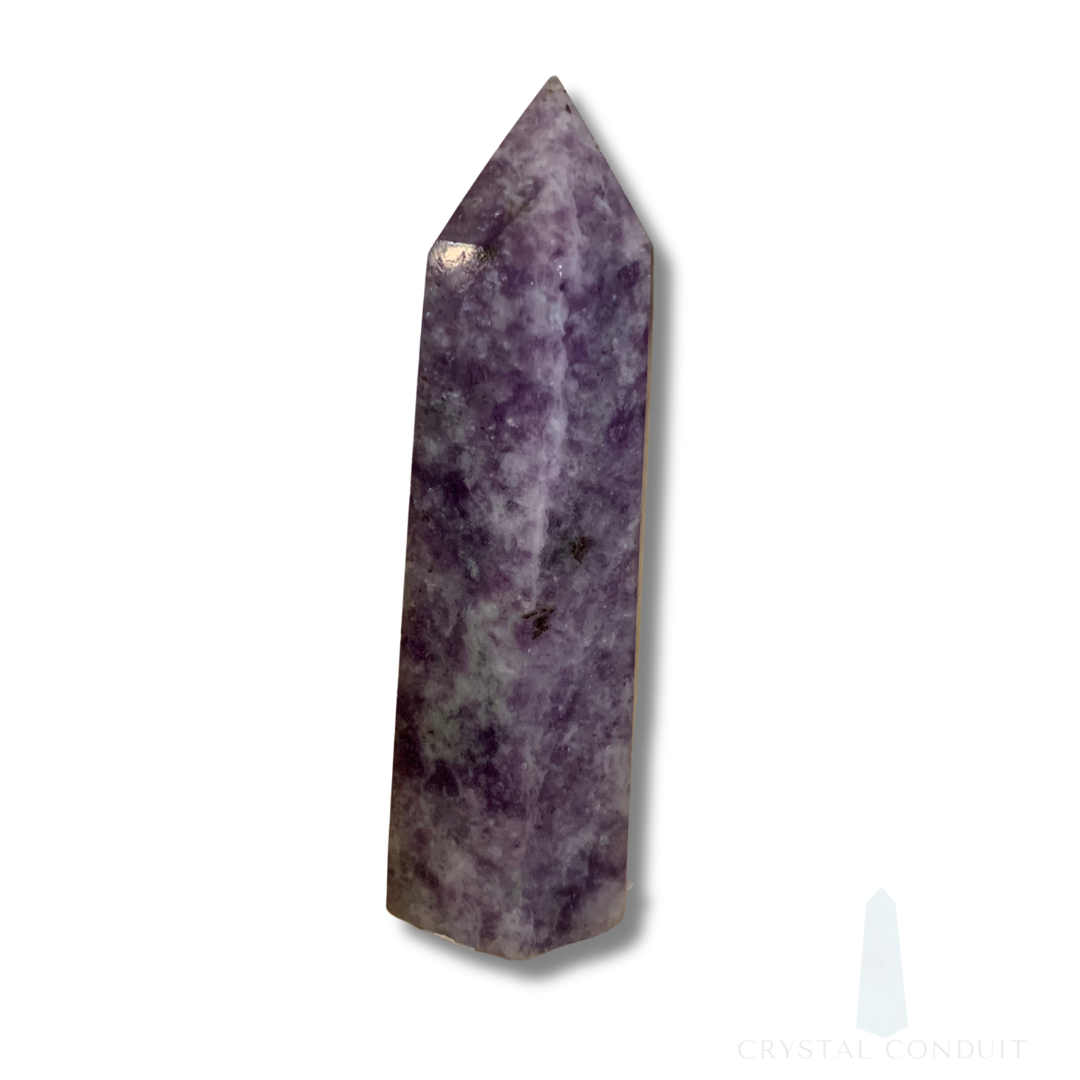 LEPIDOLITE with QUARTZ