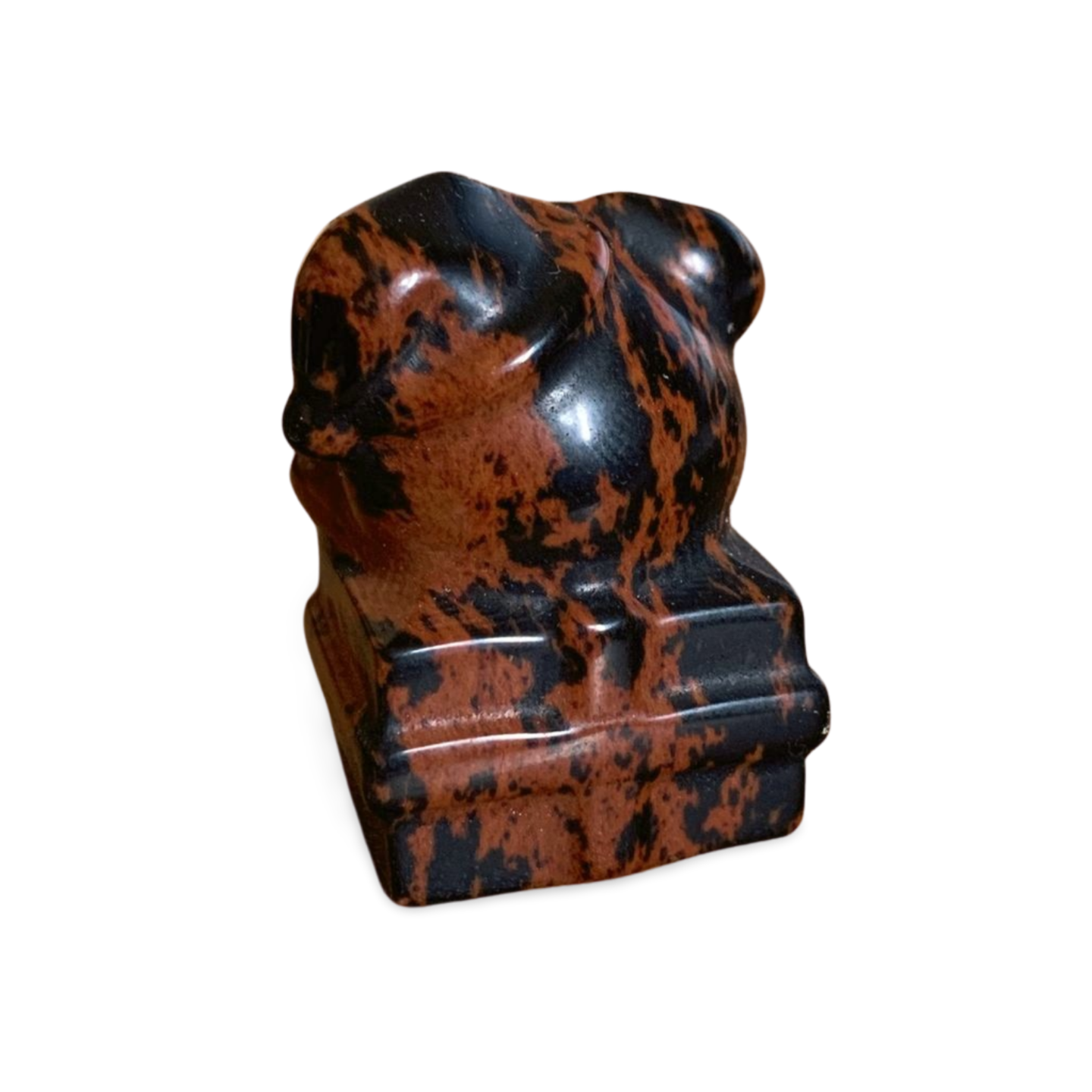 MAHOGANY OBSIDIAN FESTIVE GIFT BEAR on PRESENT CARVING