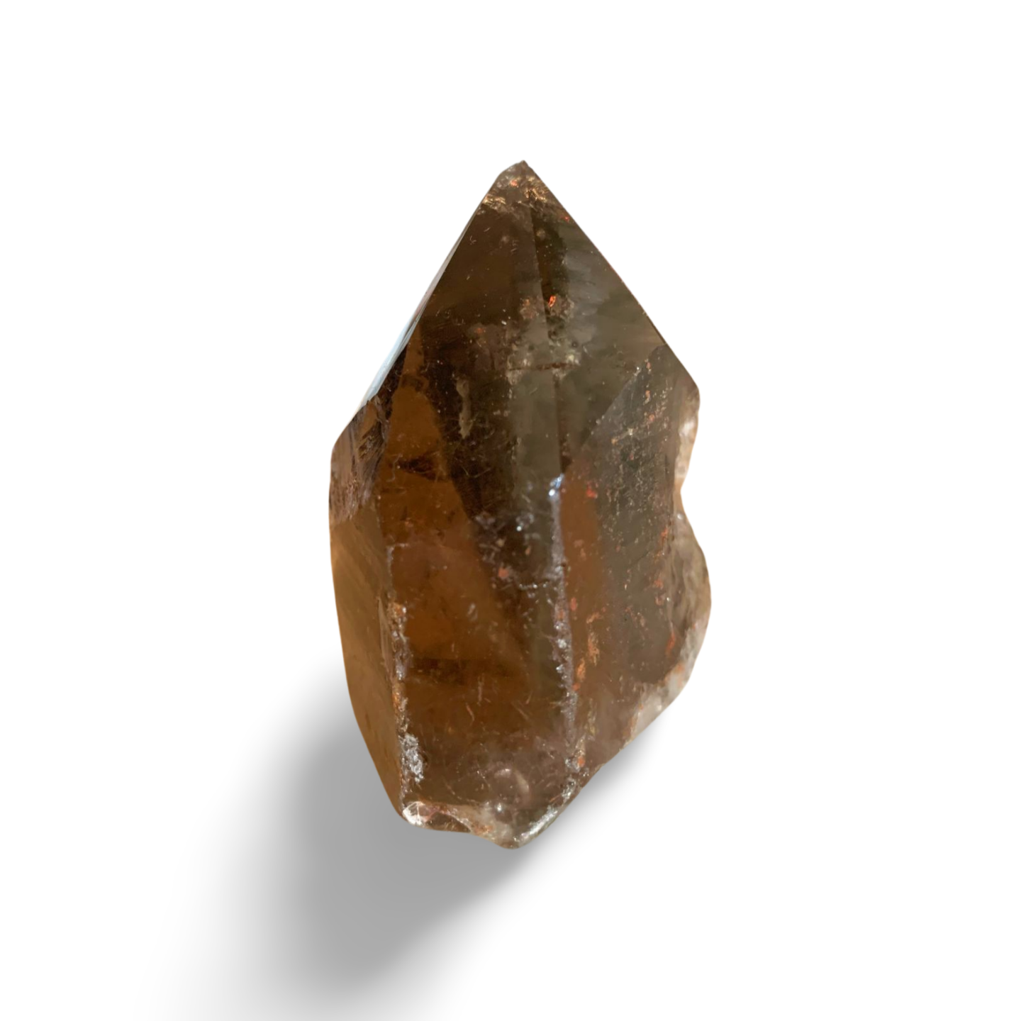 BRAZILIAN SMOKY QUARTZ GENERATOR with AMPHIBOLE & GOLDEN RUTILE