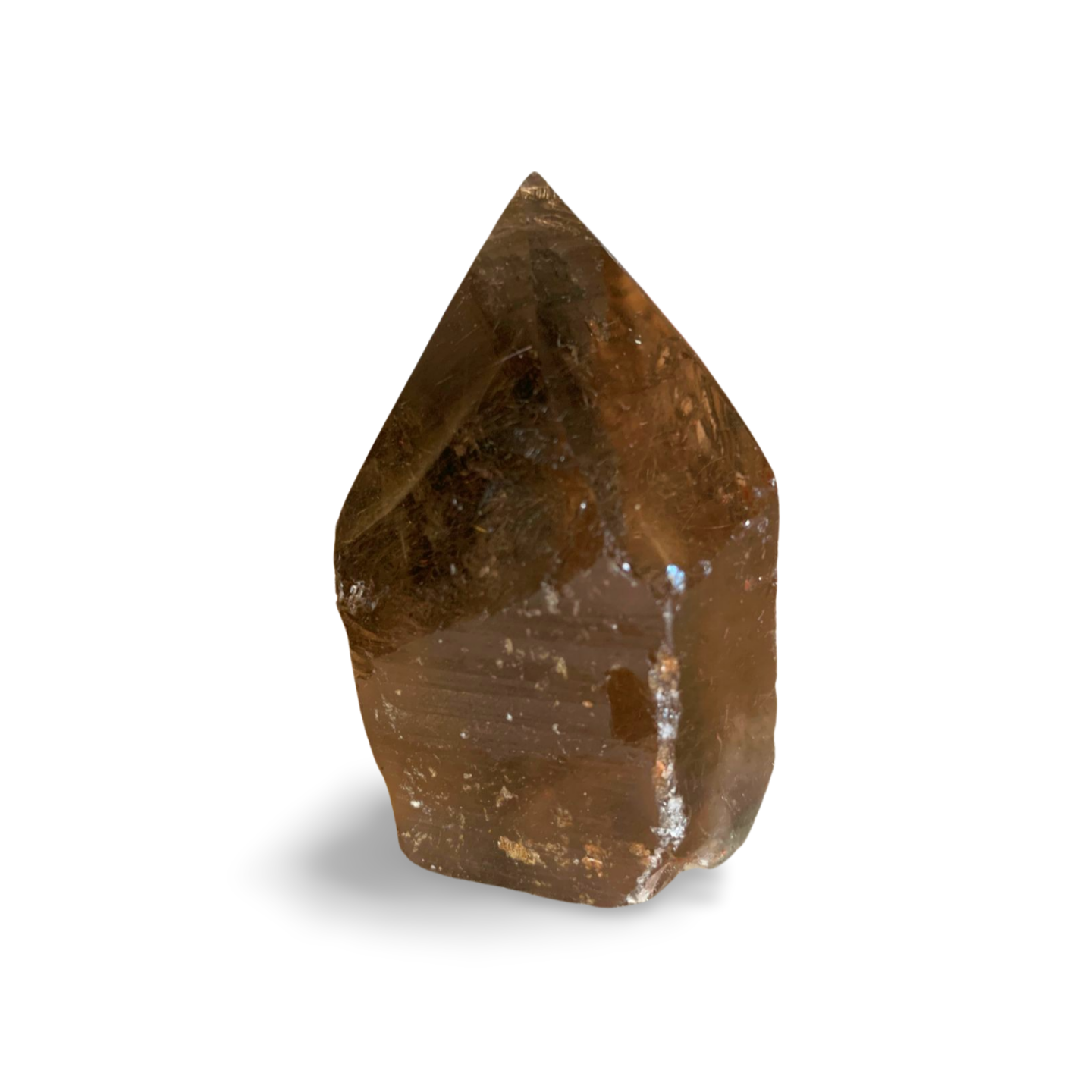 BRAZILIAN SMOKY QUARTZ GENERATOR with AMPHIBOLE & GOLDEN RUTILE