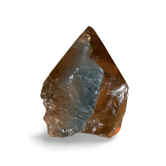 BRAZILIAN SMOKY QUARTZ GENERATOR with AMPHIBOLE & GOLDEN RUTILE