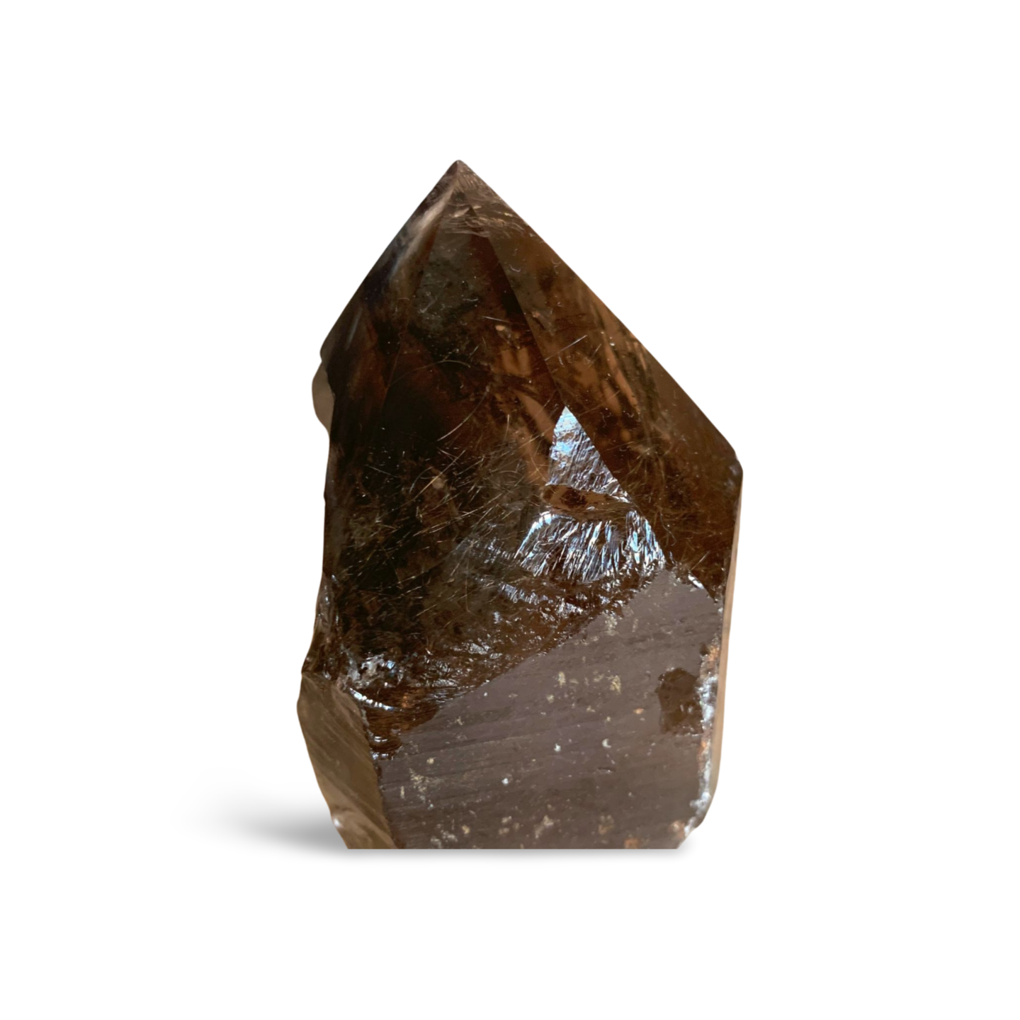 BRAZILIAN SMOKY QUARTZ GENERATOR with AMPHIBOLE & GOLDEN RUTILE