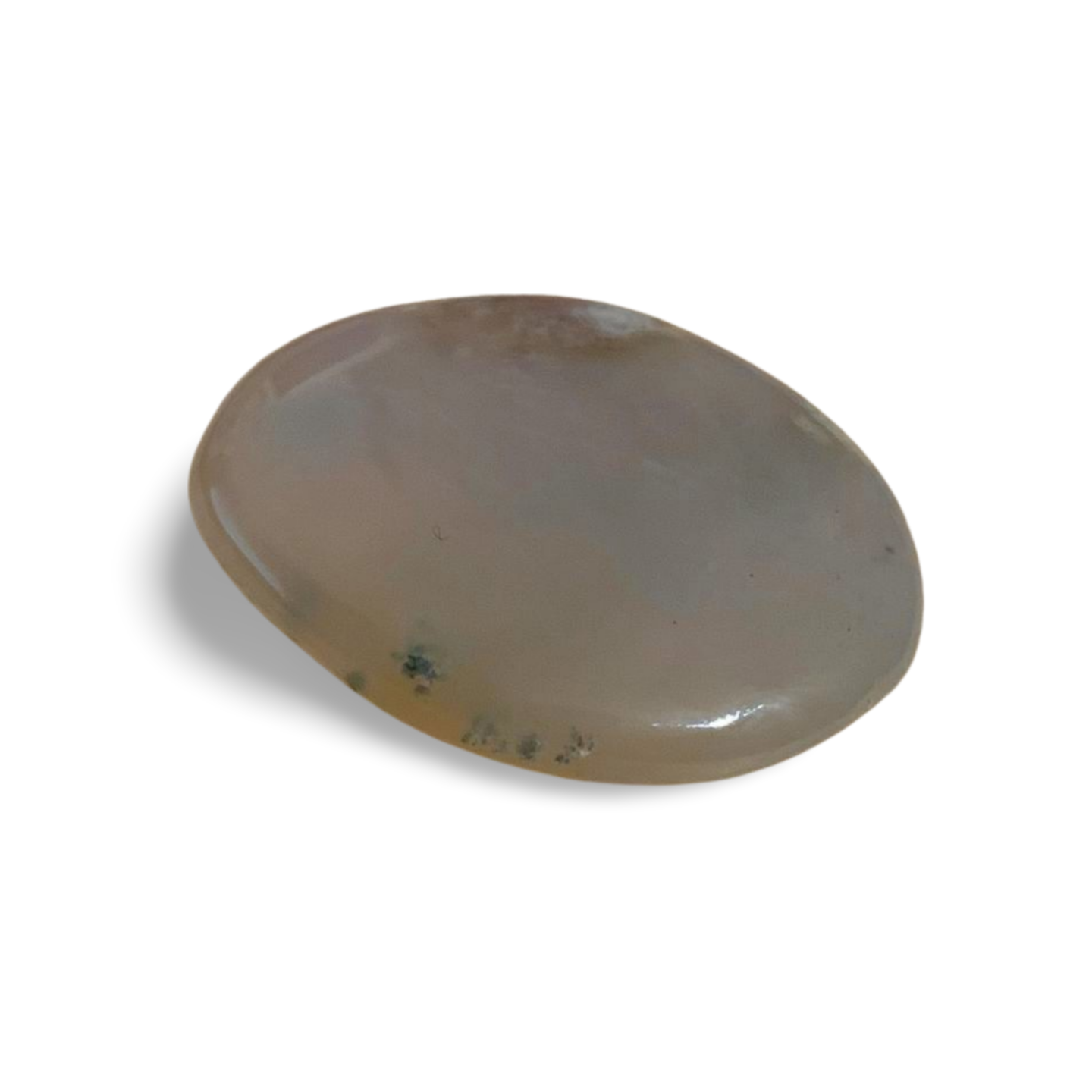 AQUA CHALCEDONY PALM STONE (GREEN CHALCEDONY IN QUARTZITE)