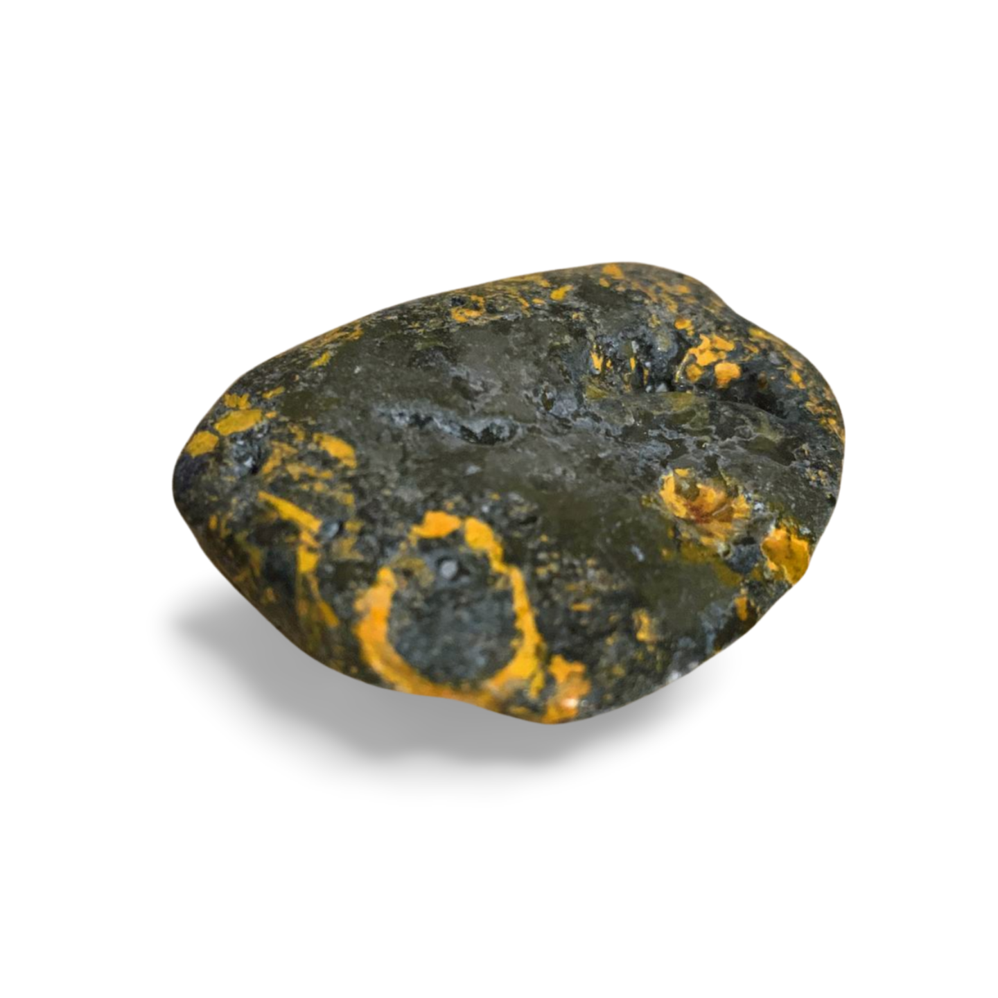 BUMBLE BEE JASPER PALM STONE