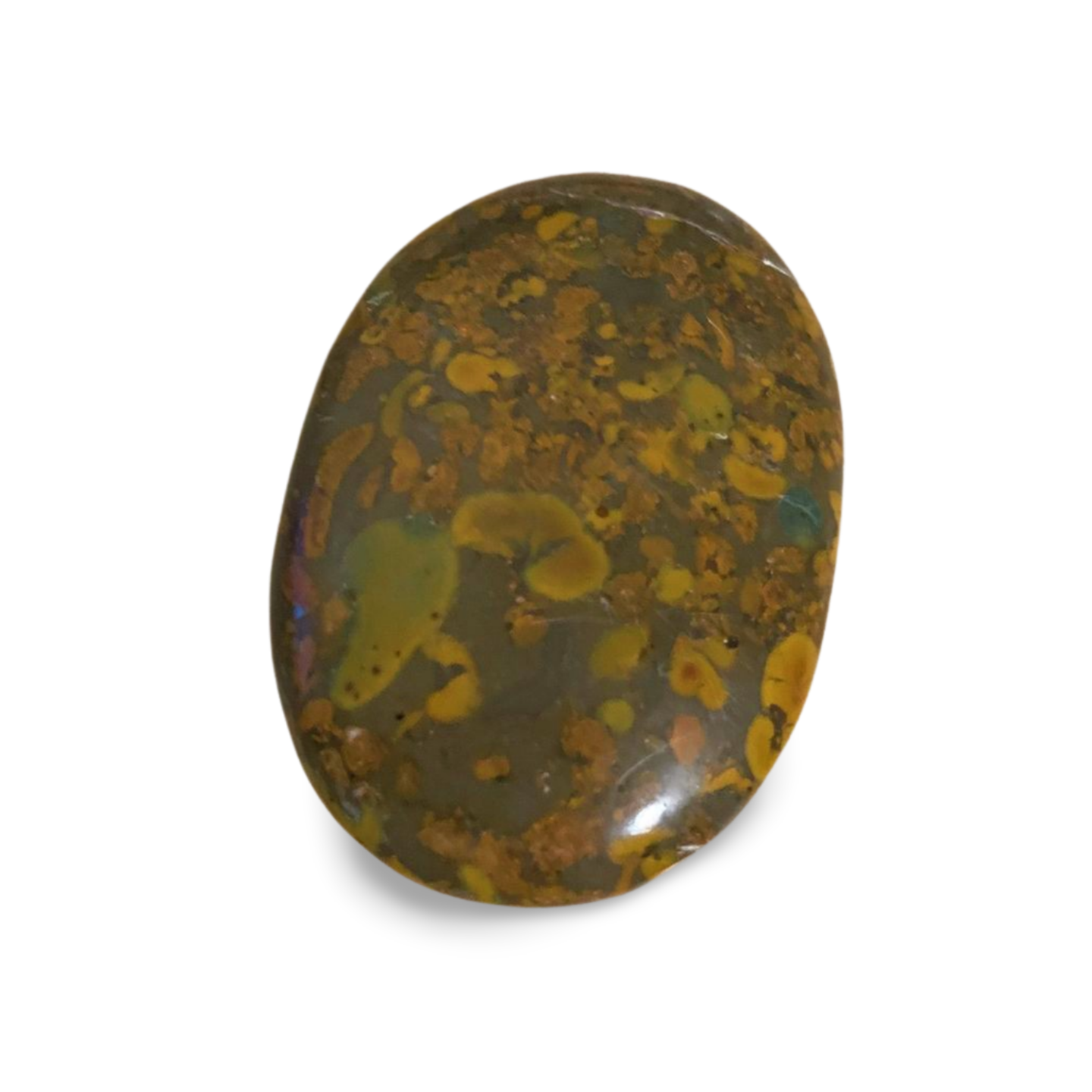 BAMBOO JASPER PALM STONE