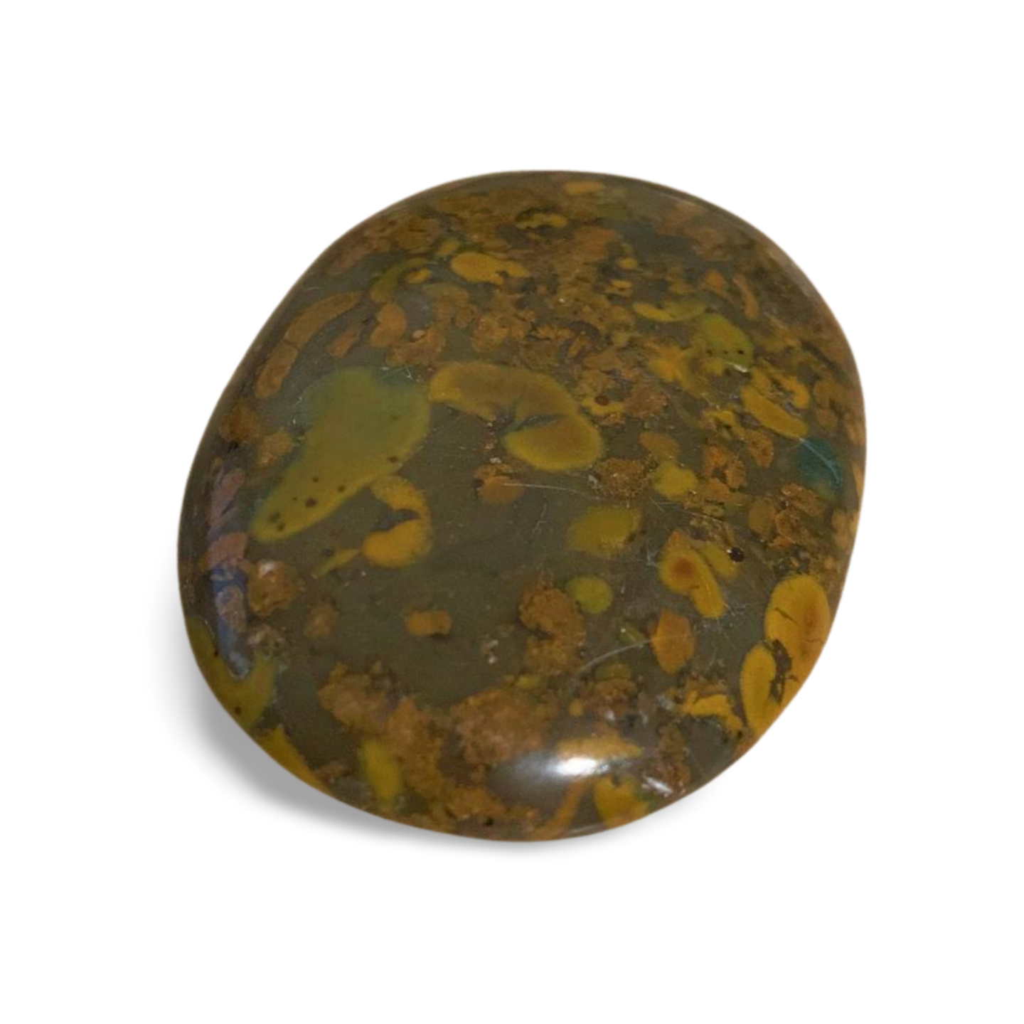 BAMBOO JASPER PALM STONE