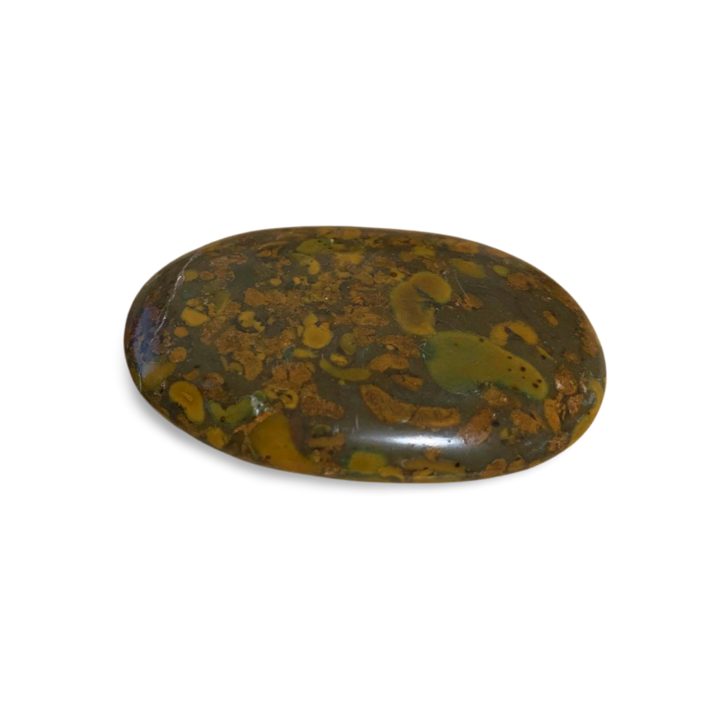 BAMBOO JASPER PALM STONE