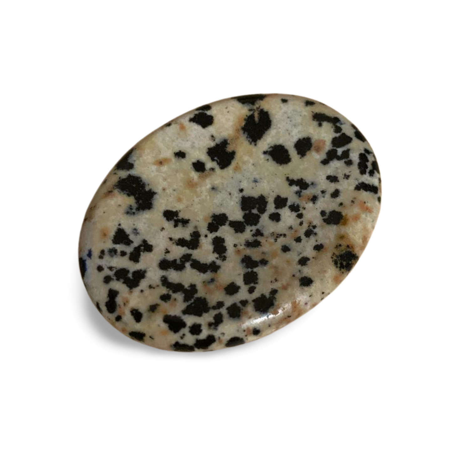 DALMATION JASPER WORRY THUMB STONE