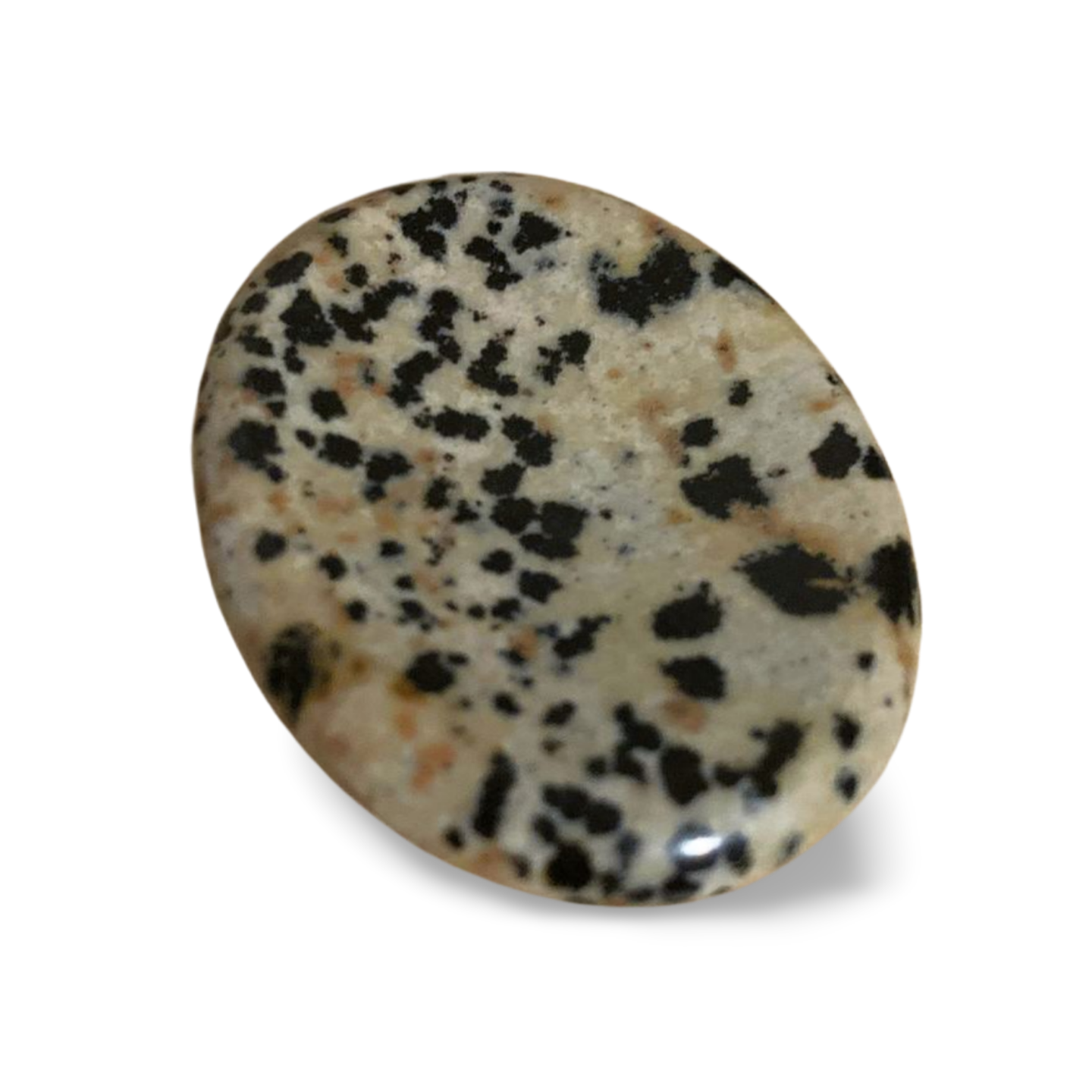 DALMATION JASPER WORRY THUMB STONE