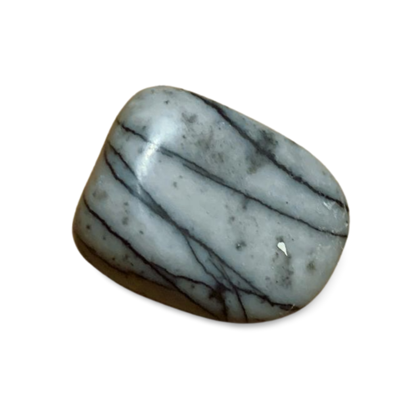 BLACK WEB JASPER TUMBLE