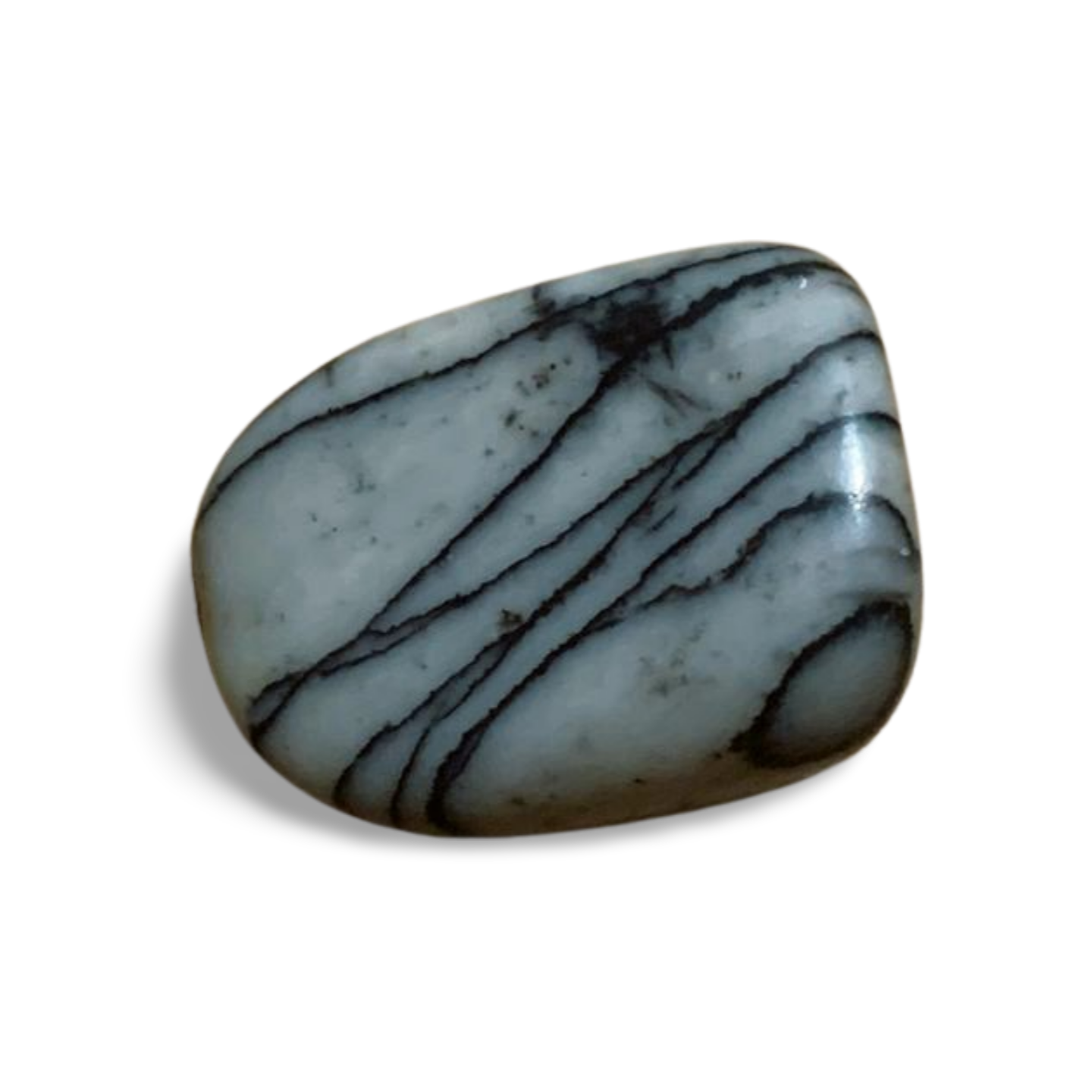 BLACK WEB JASPER TUMBLE