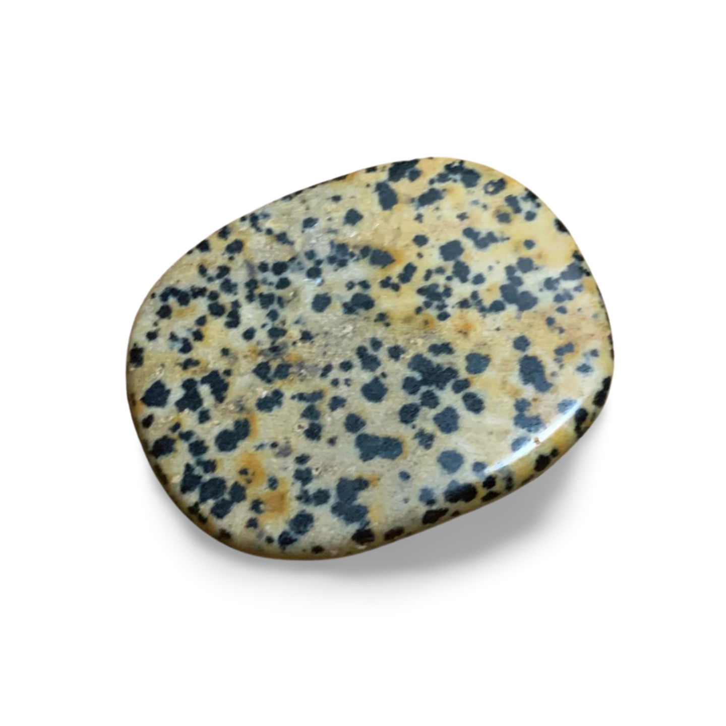 DALMATION JASPER CRYSTAL ADDICT PALM STONE