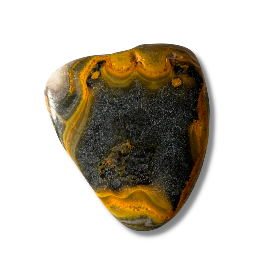 BUMBLE BEE JASPER PALM STONE