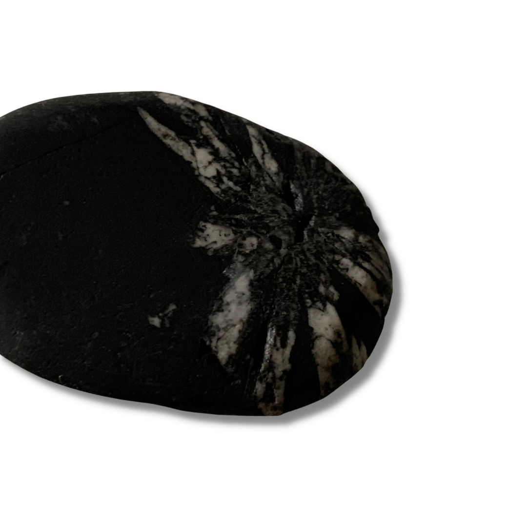 CHRYSANTHEMUM STONE PALM STONE