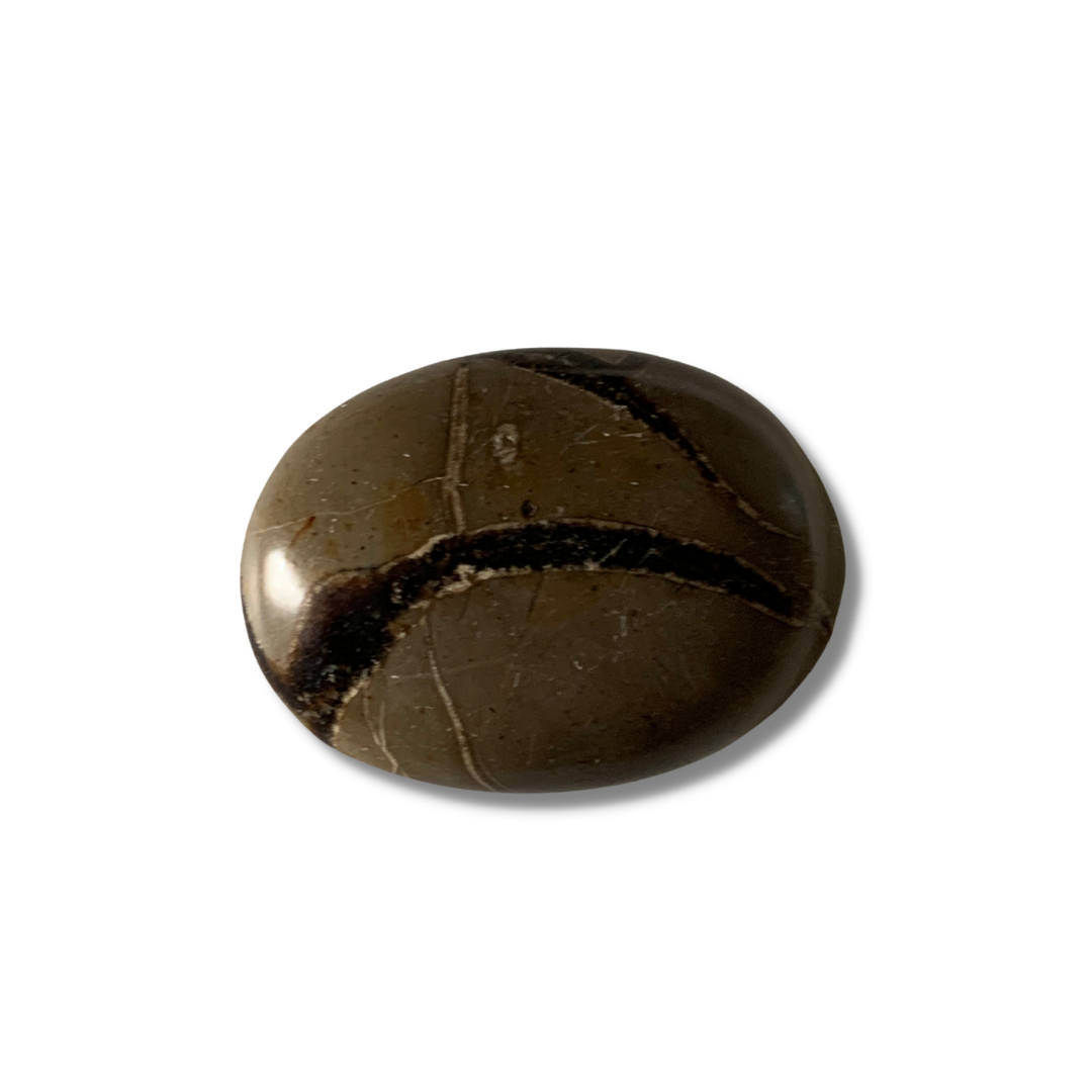 SEPTARIAN PALM STONES