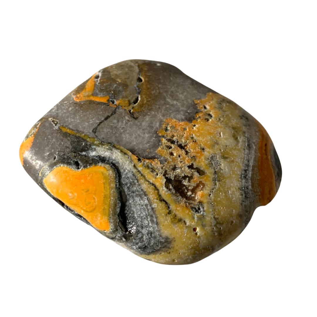 BUMBLE BEE JASPER PALM STONE